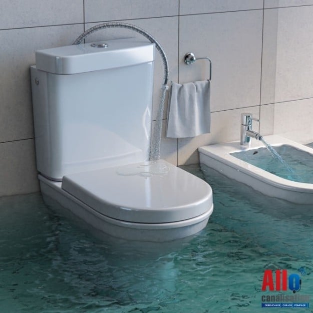 service de débouchage rapide de toilettes à lagny. intervention efficace 7j/7 pour vos wc bouchés. devis gratuit et déplacement rapide !