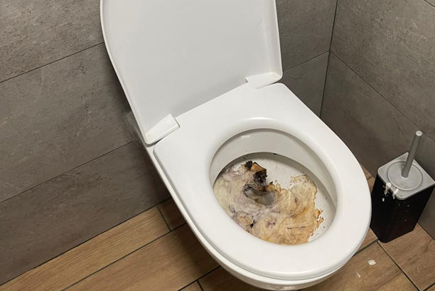 service rapide de débouchage de toilettes à houssaye-en-brie : intervention efficace, prix transparents, professionnels disponibles 7j/7 pour résoudre vos urgences sanitaires.