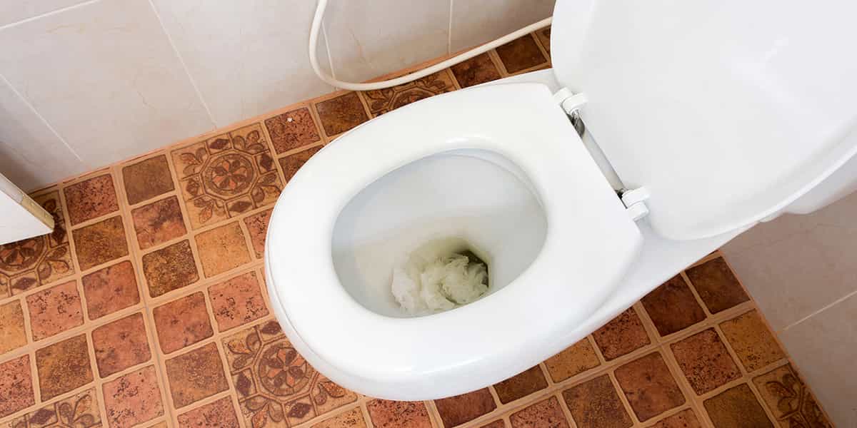 besoin d'un débouchage rapide et efficace de wc à boigneville ? nos experts interviennent en urgence pour déboucher vos toilettes et assurer un service propre et professionnel. contactez-nous dès maintenant !