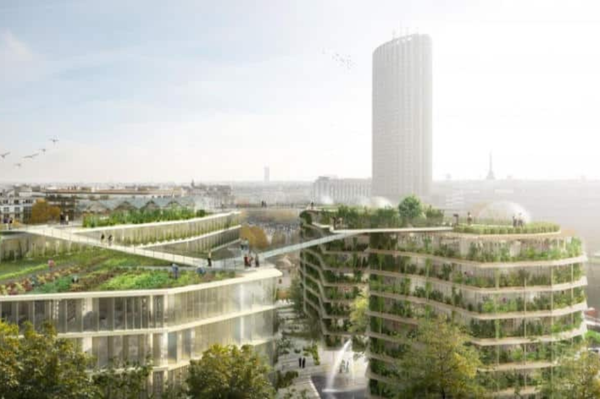 découvrez notre guide complet des projets de construction à paris en 2025 : tendances, conseils pratiques, réglementations et toutes les informations essentielles pour réussir vos travaux dans la capitale.