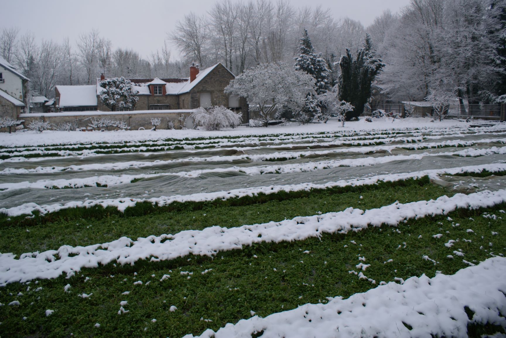 découvrez moigny-sur-école, un charmant village nature en île-de-france, idéal pour des balades paisibles, des paysages verdoyants et un patrimoine authentique aux portes de la forêt.