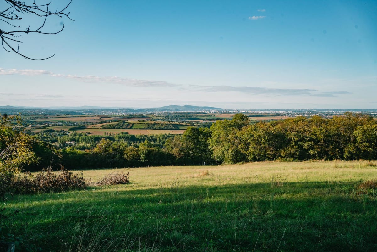 découvrez moigny-sur-école, un charmant village nature niché au cœur de la forêt. profitez de ses paysages préservés, de ses sentiers de randonnée et de son patrimoine authentique pour une escapade paisible en pleine nature.